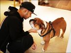 Льюис Хэмилтон прощается со своей собакой Роско перед отъездом в Абу-Даби