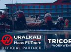Команда Haas F1 работает с машиной (фото пресс-службы Haas)