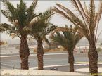 Пятничные тренировки в Бахрейне
