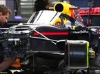 Система защиты головы Red Bull Racing